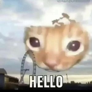 Meet your Posher, Jacob c.